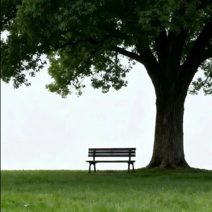 这剧情太过俗套