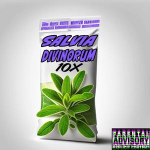 SALVIA DIVINORUM (Explicit)