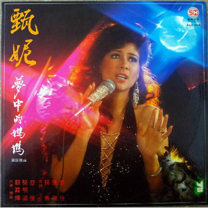梦中的妈妈封面