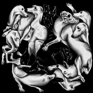 Roncos suspiros del viento