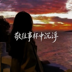 敬往事杯中沉浮 (爱情的两种模样语录版)