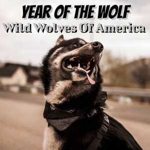Year of the Wolf (Explicit)