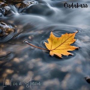 Leaf in a Stream