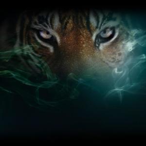 Cant Relate Union (Explicit)