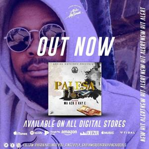 Palesa(feat. Ma-Azo & DJ Fingz)