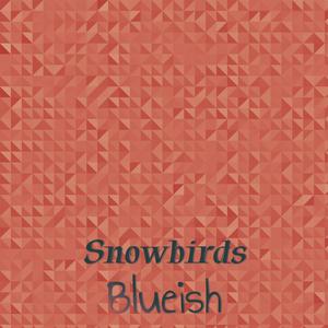 Snowbirds Blueish