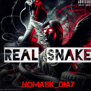 Real snake (Explicit)