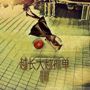 越长大越孤单封面