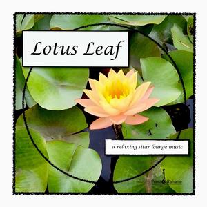 Lotus Leaf