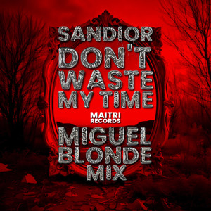 Don´t Waste My Time (Miguel Blonde Remix)