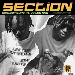 Section (Explicit)