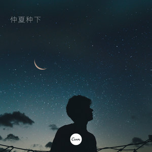 仲夏种下 (DJ版)