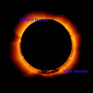 I Didnt Notice (Explicit)