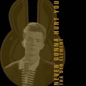 Never Gonna Hurt You