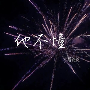 他不懂