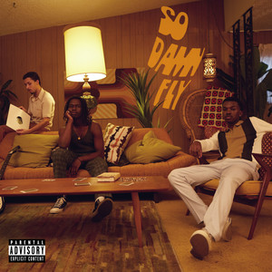 So Damn Fly (Explicit)