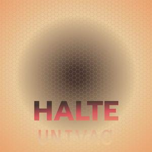 Halte Univac