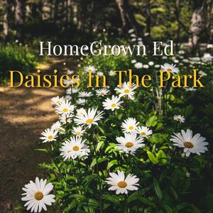 Daisies In The Park