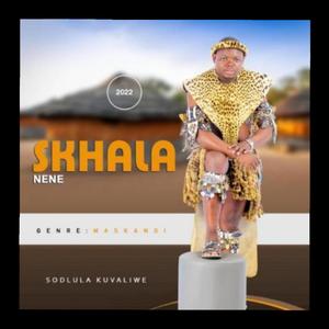 Ngabe ngyamnika (feat. Hlaleshobeni)