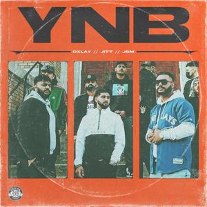 YNB