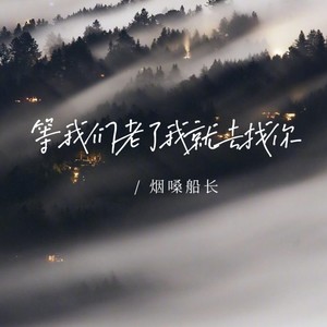 等我们老了我就去找你