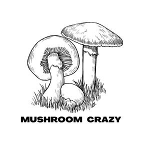 Mushroom Crazy (Explicit)