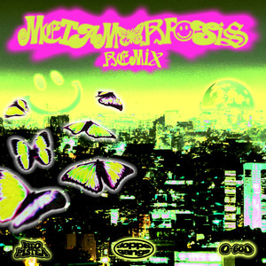 m e t a m o r f o s i s (Remix|Explicit)