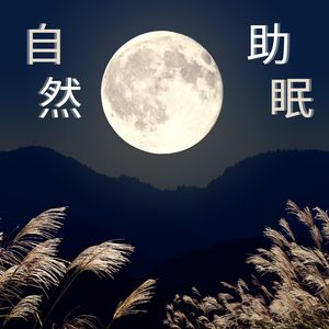 自然助眠：最放松的睡眠音乐，助睡一整夜的音乐