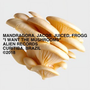 I Want The Mushrooms (Original Mix)