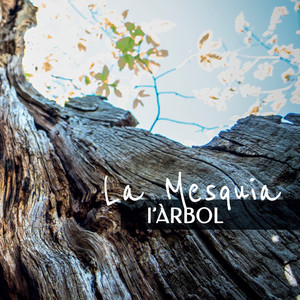 Istòria de l'àrbol secular