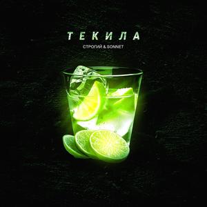 Ð¢ÐµÐºÐ¸Ð»Ð°