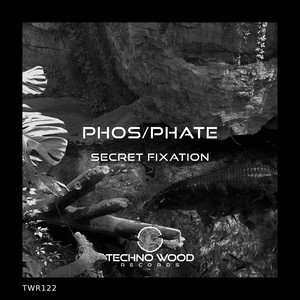 Secret Fixation (Original Mix)