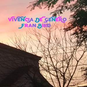 Vivencia De Genero