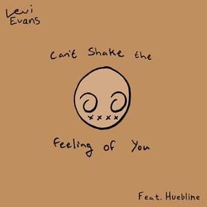 Can't Shake the Feeling of You