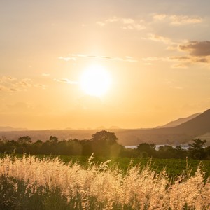 Ecos da Consciência