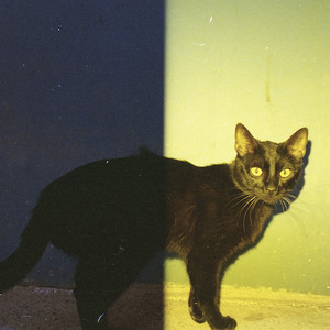 Lo Mejor Del Condado (Explicit)