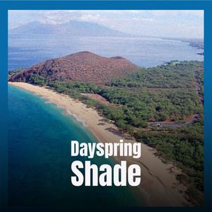 Dayspring Shade