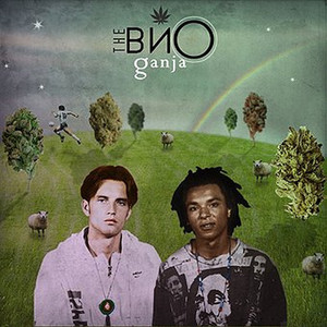 Не кажи вйо