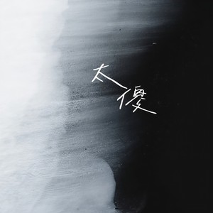 太傻（漫天风雨你会选择了我）封面