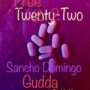 Free 22(Gudda S**t) (Explicit)