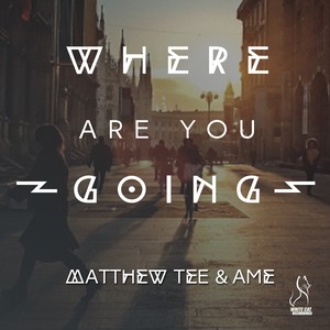 Where Are You Going (Original Mix)