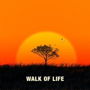 Walk of Life