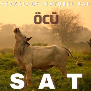 sat (Explicit)