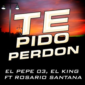 Te Pido Perdon (feat. Rosario Santana)