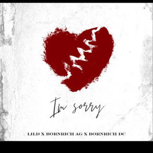 I'm Sorry (feat. BornRich AG & BornRich DC) [Explicit]