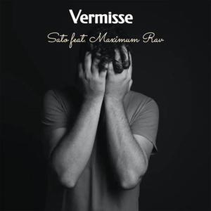 Vermisse (feat. MAXIMUM RAV)