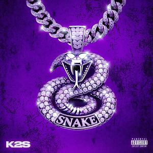 Snake (Explicit)