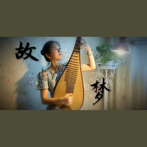 【琵琶】故梦
