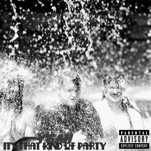 Yeah It's That Kind Of Party (Explicit)