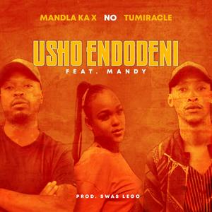 Usho Endodeni (feat. Tumiracle & Mandy)